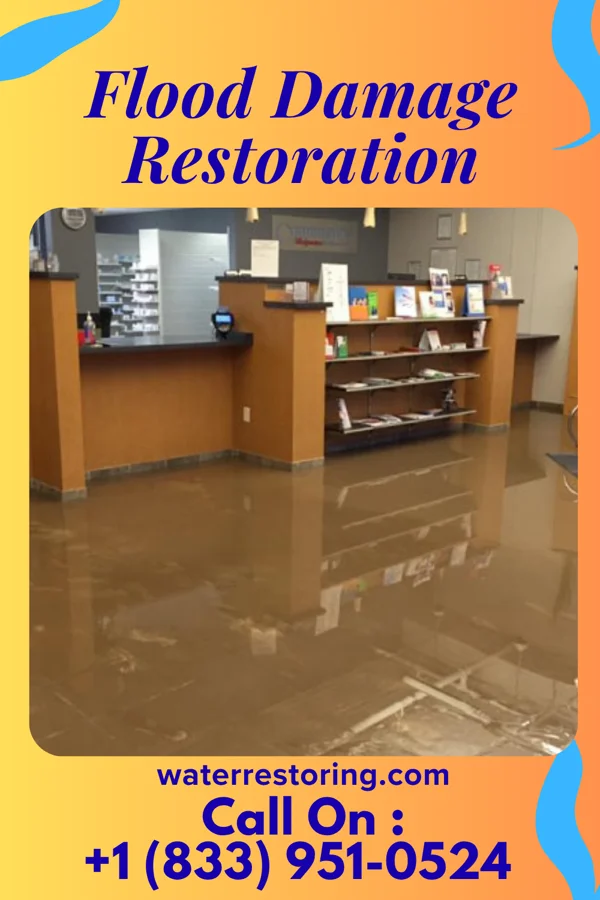 Flood Damage Restoration in Wenona, GA